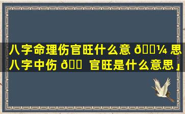 八字命理伤官旺什么意 🌼 思「八字中伤 🐠 官旺是什么意思」